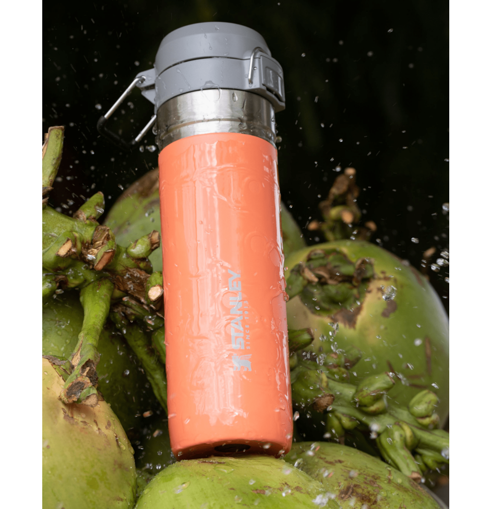 GARRAFA TÉRMICA QUICK FLIP STANLEY GUAVA 710ML GARRAFA TÉRMICA QUICK FLIP STANLEY GUAVA 710ML